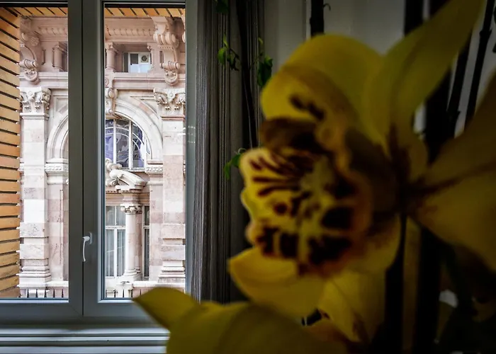 Lux With Parking Apartment *