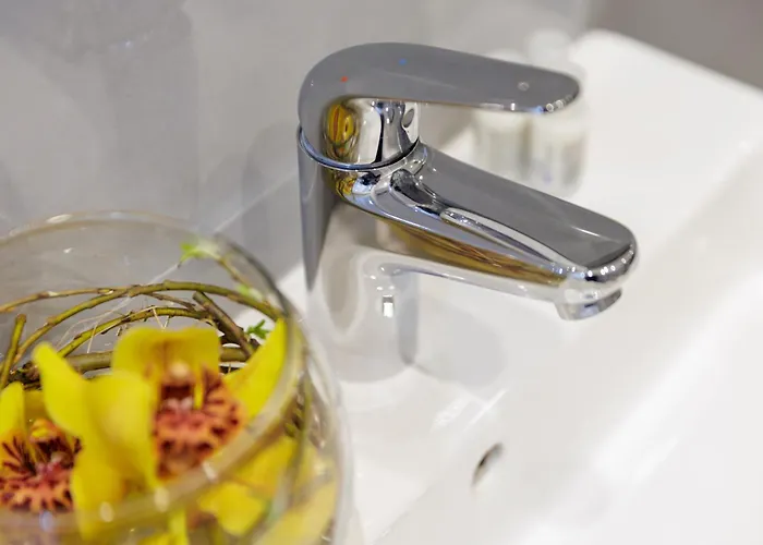 Lux With Parking Apartment Genoa